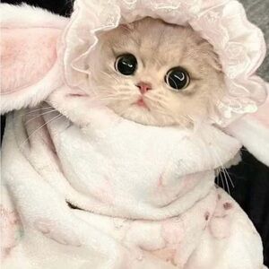 Meet your Posher, Lucy